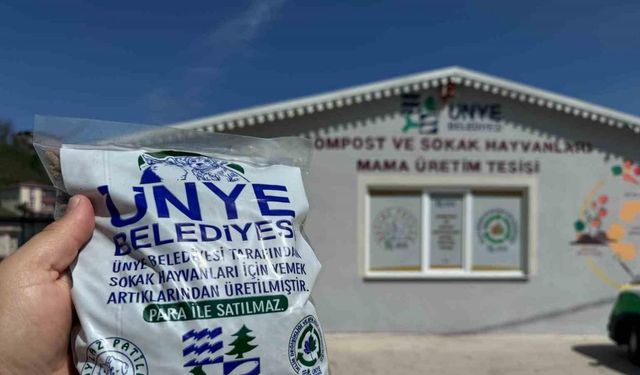 Ünye’de artan iftar yemekleri sokak hayvanları için mama oldu