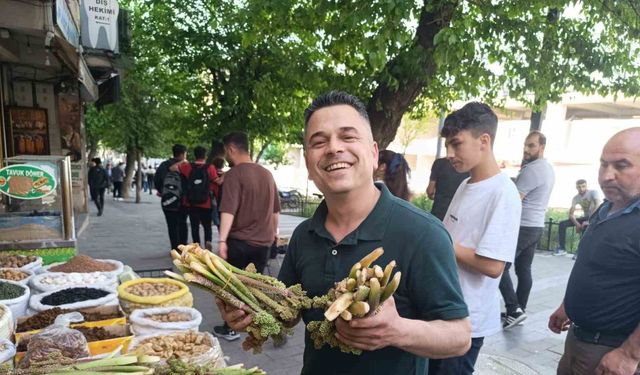 Yayla muzu tezgahlardaki yerini aldı