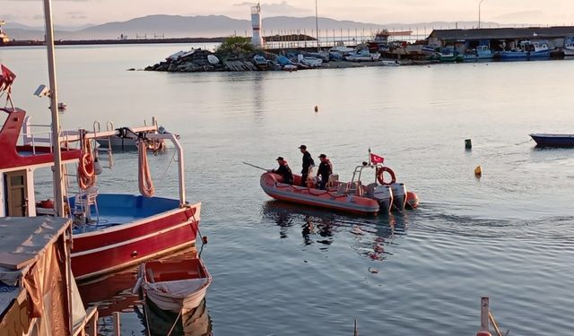 Yolunu şaşıran yavru yunus kurtarıldı