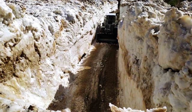 Yüksekova’da 5 metreyi bulan karda yol açma çalışması