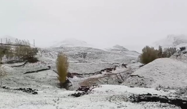 Ağrı’nın yüksek kesimleri yağan karla beyaza büründü