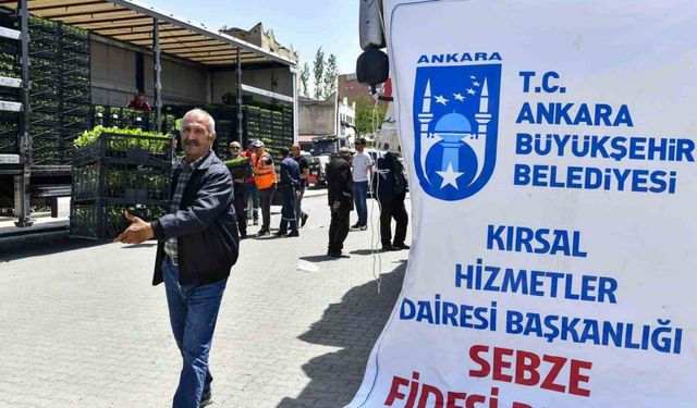 Ankara Büyükşehir Belediyesinin sebze fidesi dağıtımı tekrar başladı