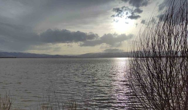 Ardahan’da Kura Nehri taştı, sahilleri aratmayan görüntüler ortaya çıktı