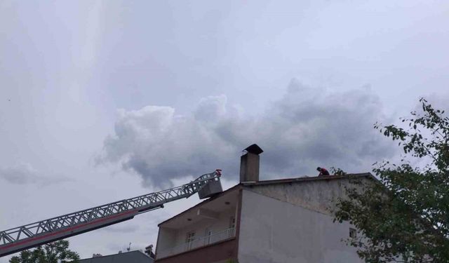 Cami kubbesindeki leylek yuvası, yıkım nedeniyle taşındı