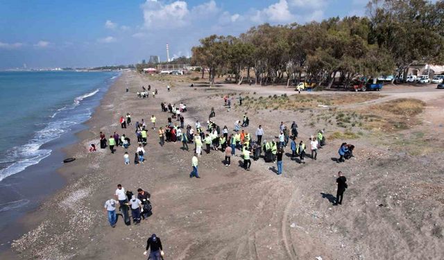 Caretta carettaların yumurtlama alanlarından Kazanlı sahili temizlendi