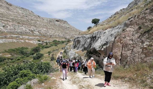 Doğaseverler Halfeti’de ’karagül’ü aradı