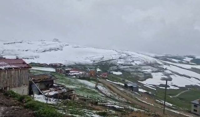 Doğu Karadeniz yaylalarında kış geri döndü