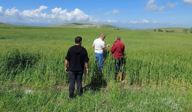 Dolu ve selden etkilenen köylerde zarar tespit çalışması başlatıldı