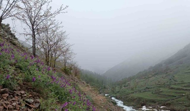 Erzurum’da mayıs ayında kar sürprizi