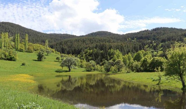 Erzurum’un yaylalarında bahar esintisi