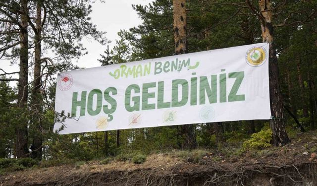 Gümüşhane’de ‘Orman Benim’ etkinliğinde ormanda temizlik