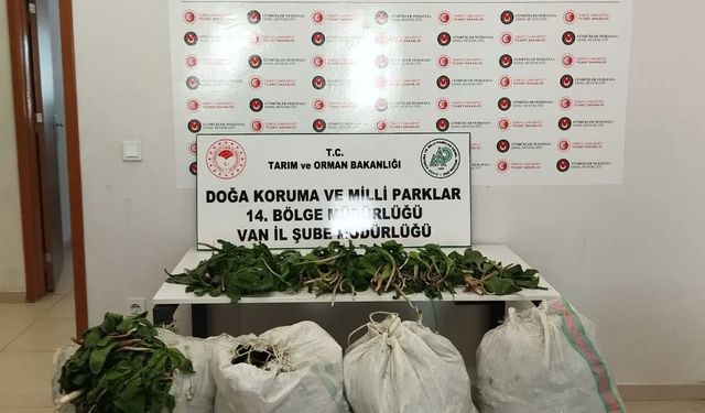 İran uyruklu 1 kişiye biyoçeşitliliği tahripten toplam 387 bin 141 lira ceza verildi