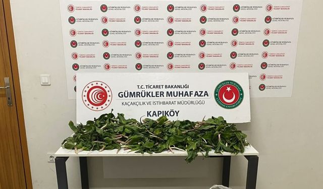 İran uyruklu 6 kişiye biyoçeşitliliği tahripten toplam 2 milyon 322 bin 846 lira ceza