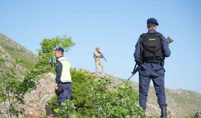 Jandarma ekipleri terörü bitirdikleri dağlarda şimdilerde ters lale nöbeti tutuyor