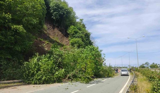 Karadeniz Sahil Yolu’nda heyelan