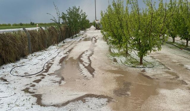 Karaman’da dolu ve sel 100 bin dekar ekili alanda zarara yol açtı