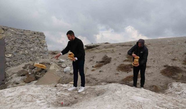 Karla kaplı Nemrut’taki yabani hayvanlar unutulmadı