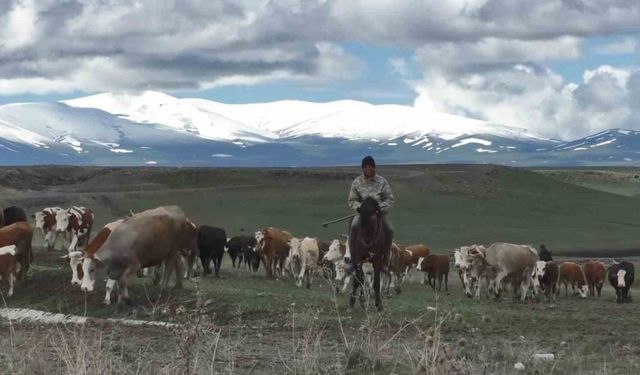 Kars’ta dağların zirvesi mayısta beyaza büründü