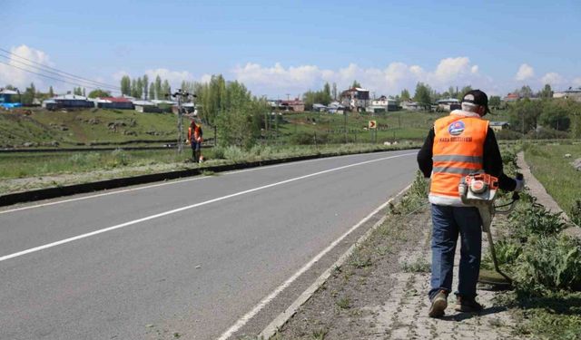 Kars’ta kaldırımlar yabani otlardan temizleniyor