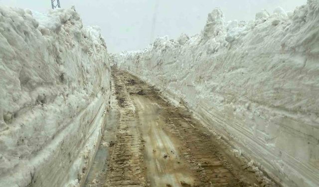 Mayıs ayında 5 metreyi bulan karda yol açma çalışması sürüyor