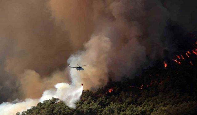 Muğla’da 31 Ekim’e kadar ormanlara giriş yasaklandı