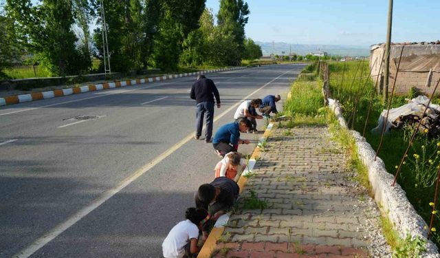 Muş’ta yağan bilinmeyen cisimler şaşırttı