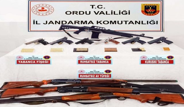 Ordu’da silah kaçakçılığı operasyonunda 1 kişi tutuklandı