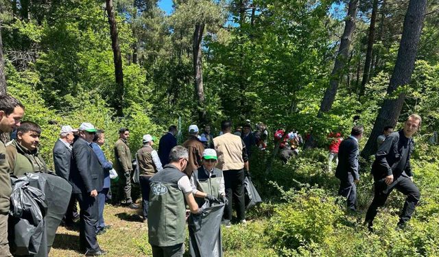 Sinop protokolü ormanları temizledi