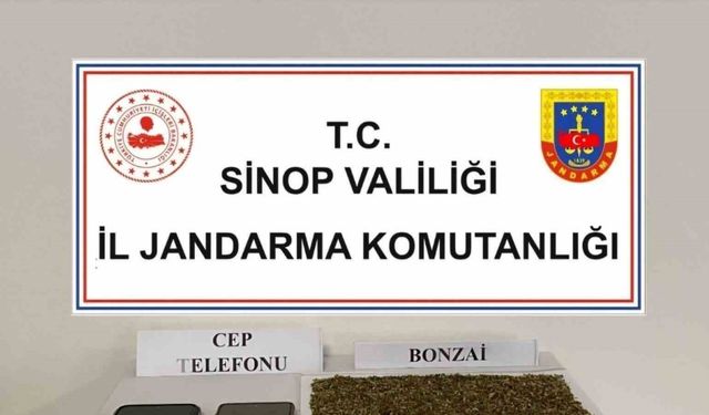 Sinop’ta 80 gram bonzai ele geçirildi