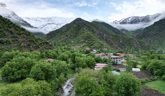 Şırnak dağları beyaza büründü