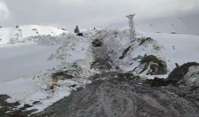 Şırnak’ta mayıs ayında 10 metrelik karda yol açma çalışmaları sürüyor