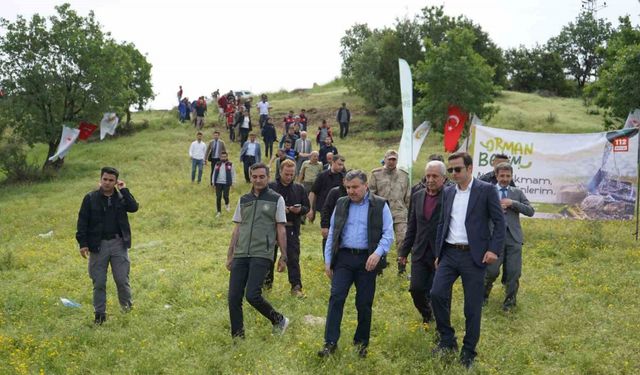 Şırnak’ta ’Orman Benim’ etkinliği düzenlendi