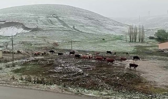 Tekman’da kar sürprizi