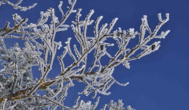 Türkiye’nin en soğuk ili Bolu oldu