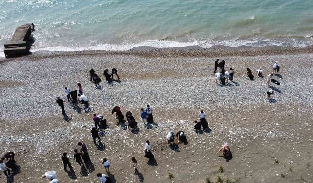 Üreme öncesi carettaların yuva yaptığı sahili öğrenciler temizledi