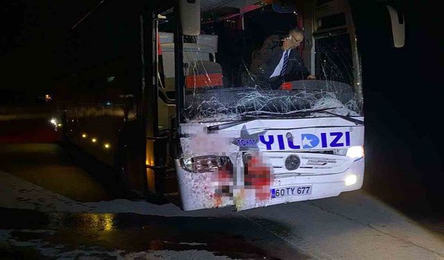 Yola çıkan ata otobüs çarptı