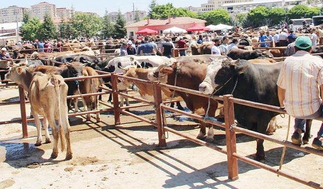 Kurban satış ve kesim yerleri belirlendi