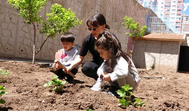 Yozgat’ta okul bahçesi tarım alanına dönüştürüldü