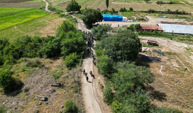 Afrika değil Tokat: Tokat’ta Afrika belgesellerini andıran görüntüler