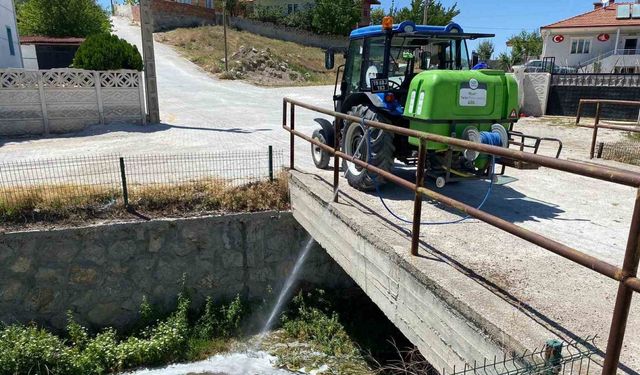 Alaca’da vektörel mücadele çalışmaları hızlandı