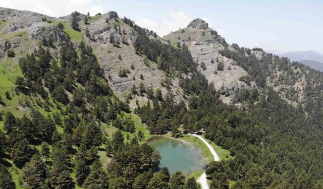 Altınpınar Limni Gölü el değmemiş doğasıyla hayran bırakıyor