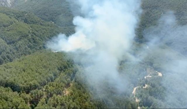 Antalya’da orman yangını