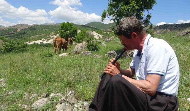 Bin 400 metre rakımdaki sürülerini "flüt" eşliğinde otlatıyor