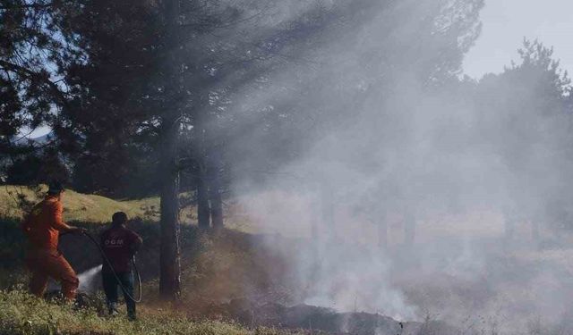 Bingöl’de çamlık alanda çıkan yangın büyümeden söndürüldü