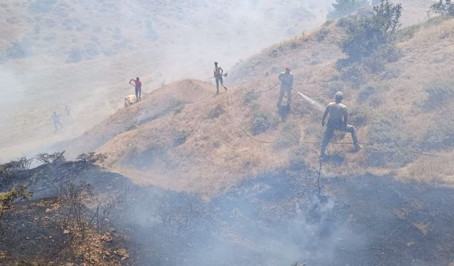 Bingöl’de çıkan orman yangını söndürüldü