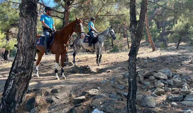 Burdur Valiliği tarafından 15 Haziran- 15 Ekim tarihleri arasında ormanlık alana girişler yasaklandı