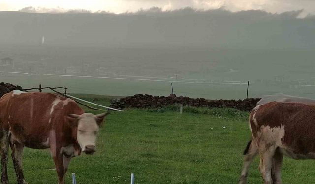 Ceviz büyüklüğünde dolu yağdı, köy beyaza büründü