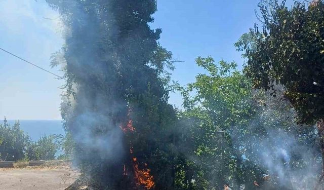 Çıkan yangın ekipleri harekete geçirdi