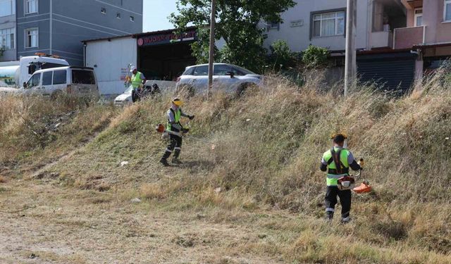 Darıca’da yaz temizliği başladı