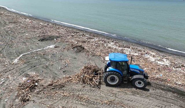 Deniz kaplumbağaların üreme merkezinde hummalı temizlik